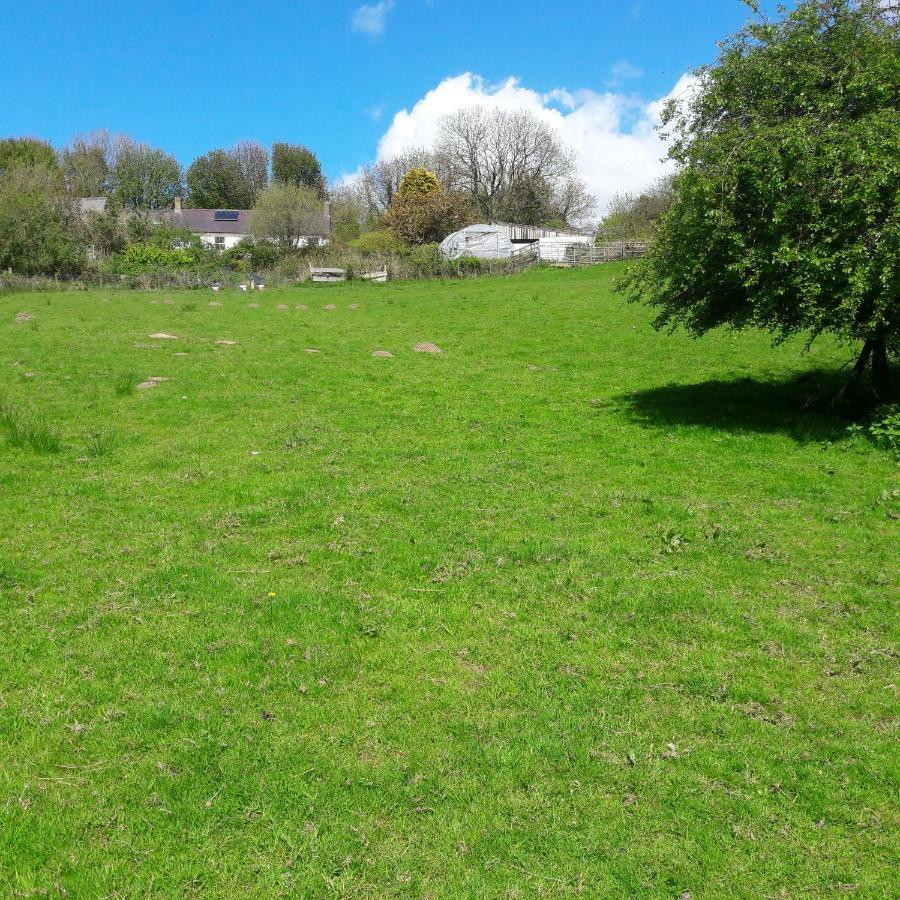 Gernos Farmhouse Llandysul Ngoại thất bức ảnh